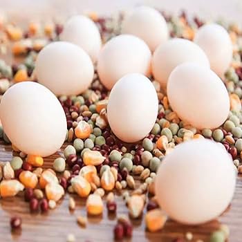 木の上に小鳥と卵 木の上に小鳥と卵